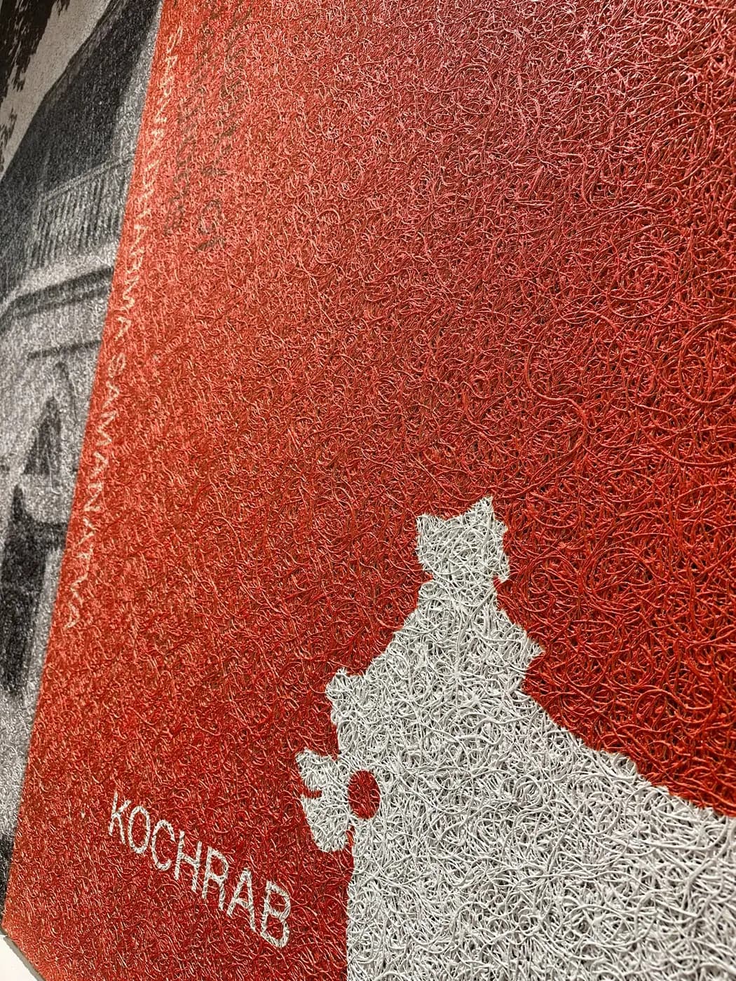 Detailed red printed Tectum panel with a white map of India